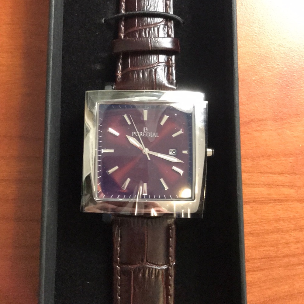 Puredial Mens Leather/Stainless Watch